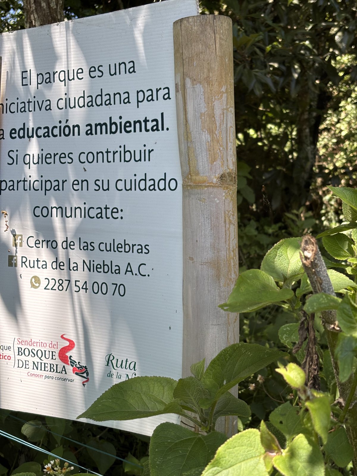 «El parque es una iniciativa ciudadana para la educación ambiental» · foto: Bernard Uriza