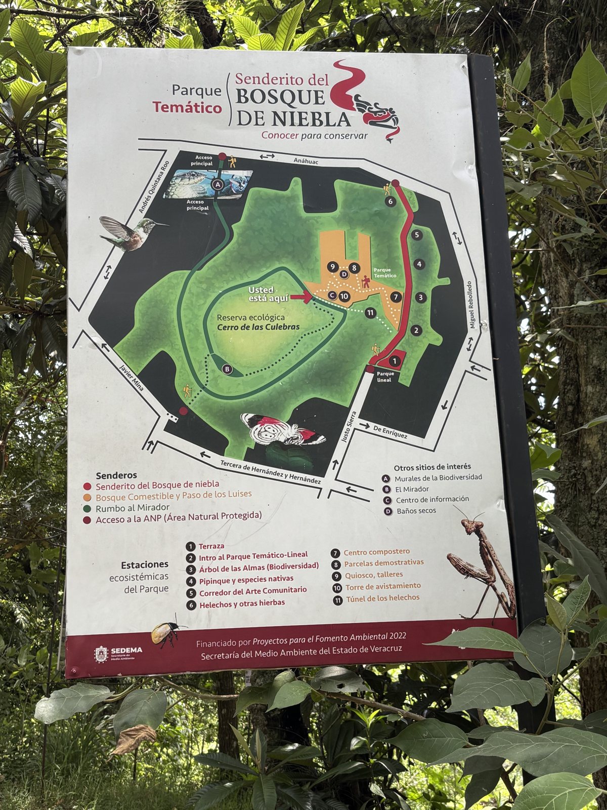 La cédula del Parque Temático con el circuito y sus estaciones · foto: Bernard Uriza