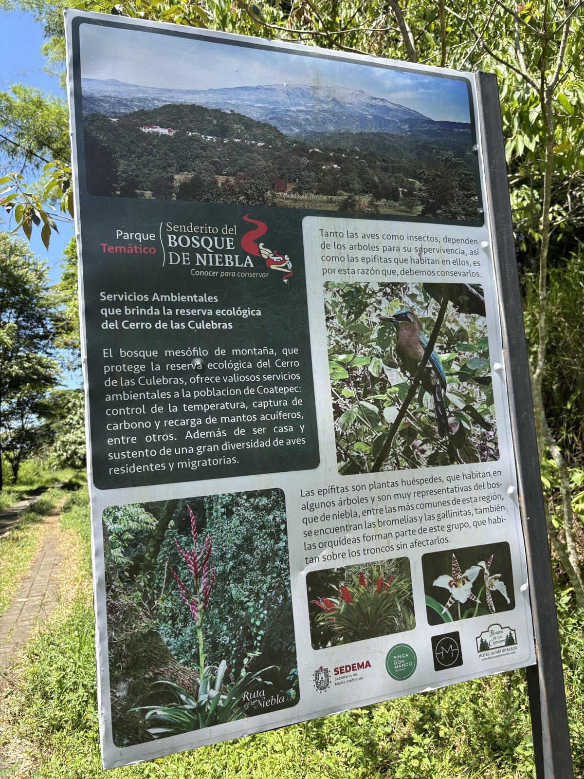 Cédula «Servicios ambientales que brinda la reserva ecológica del Cerro de las Culebras» · foto: Bernard Uriza